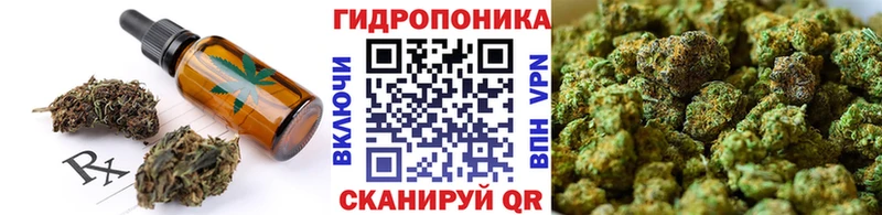 как найти закладки  Светлогорск  Печенье с ТГК марихуана 