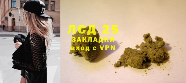 ПСИЛОЦИБИНОВЫЕ ГРИБЫ Гусиноозёрск