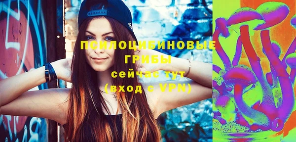 ПСИЛОЦИБИНОВЫЕ ГРИБЫ Гусиноозёрск