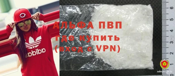 ПСИЛОЦИБИНОВЫЕ ГРИБЫ Гусиноозёрск