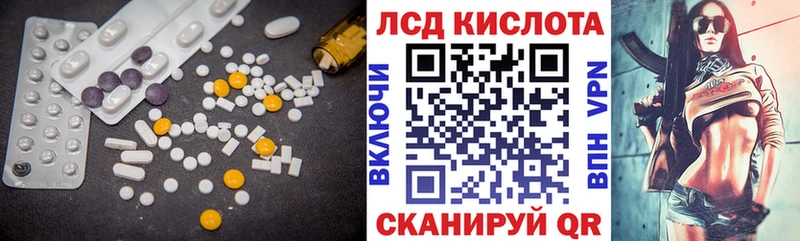 дарнет шоп Светлогорск Лсд 25 экстази ecstasy