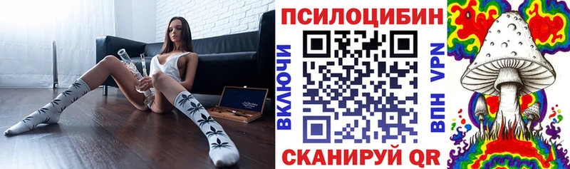 Галлюциногенные грибы ЛСД  цены   Светлогорск 